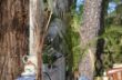 DSC_0886.JPG